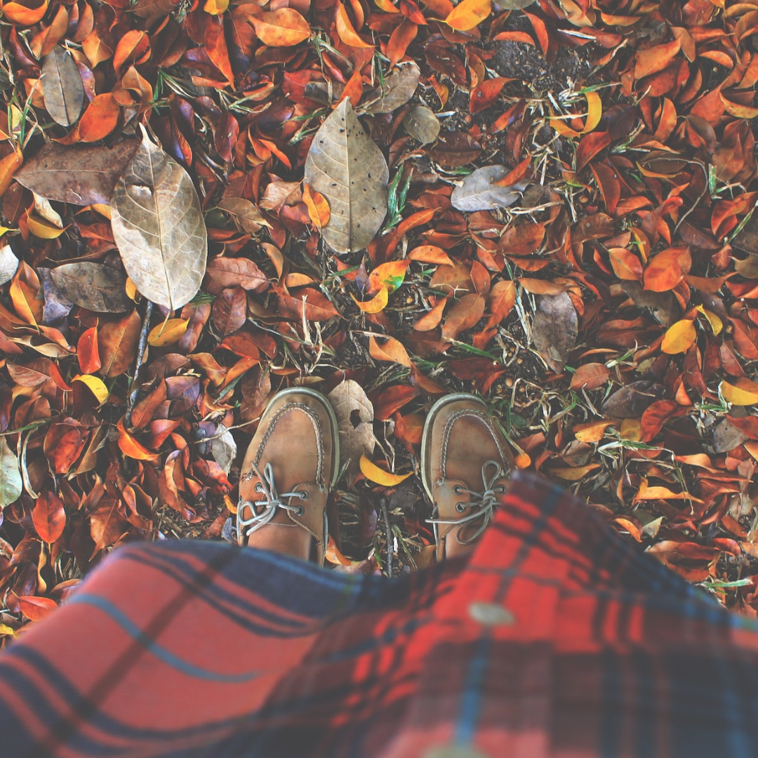 4 Ways To Be More Eco-Friendly This Autumn